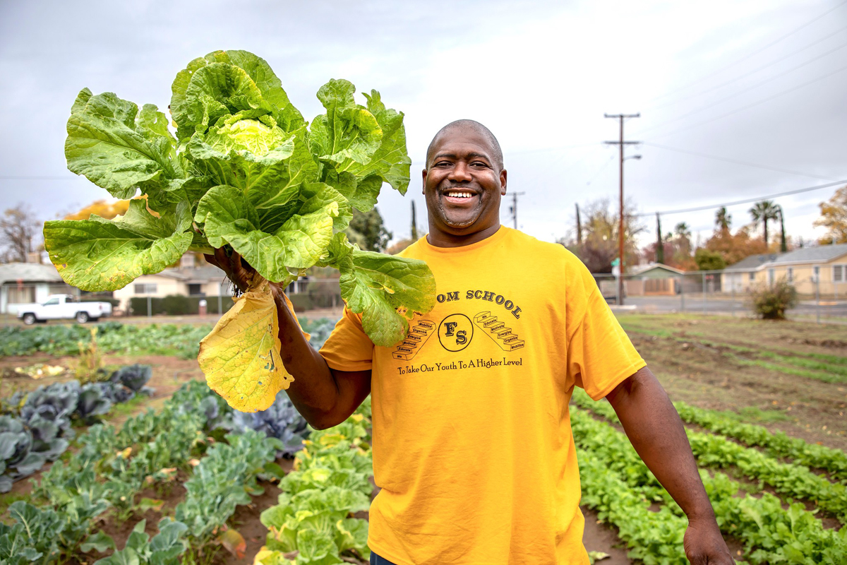 Rev. Floyd D. Harris Jr. harvests cabbage from Freedom School Fresno’s demonstration farm. (Photo © Joan Cusick)