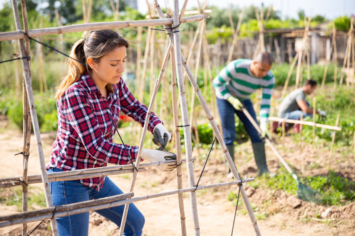 young farmers who are carrying high levels of student debt are working in the field