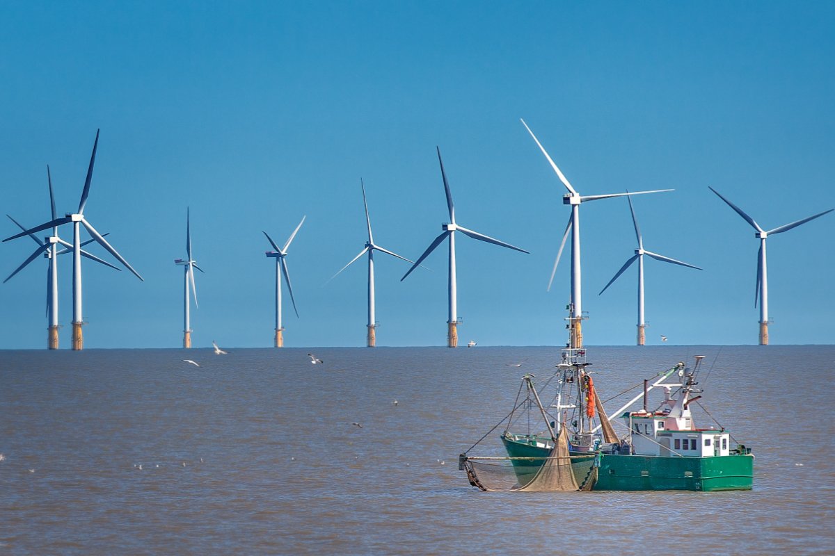 A fishing boat sits in the ocean near an offshore wind farm. (Photo credit: Shawn Wilkinson, Getty Images)
