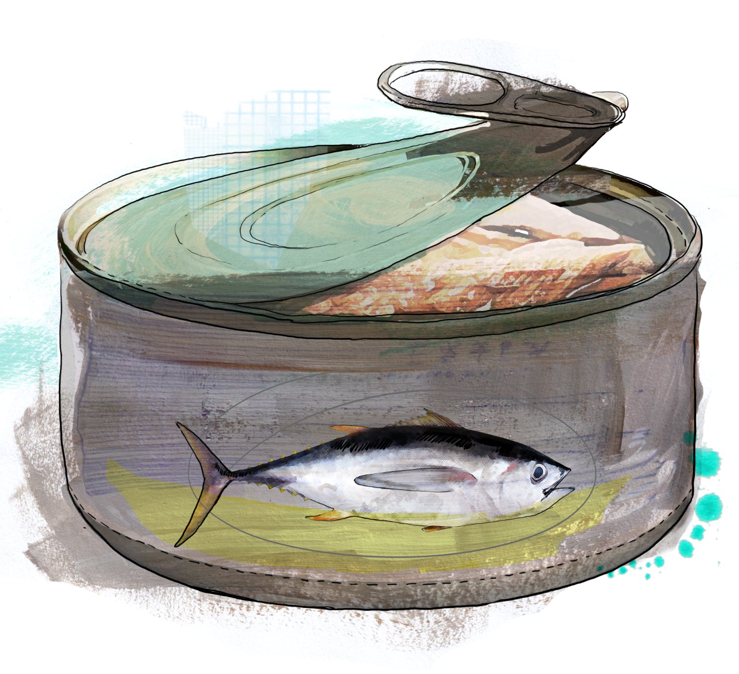 An illustration of a tin of canned tuna, with the lid slightly pulled open and a picture of a large tuna on the side. (Illustration credit: Tina Zellmer)